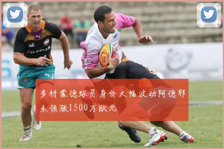 多特蒙德球员身价大幅波动阿德耶米领涨1500万欧元