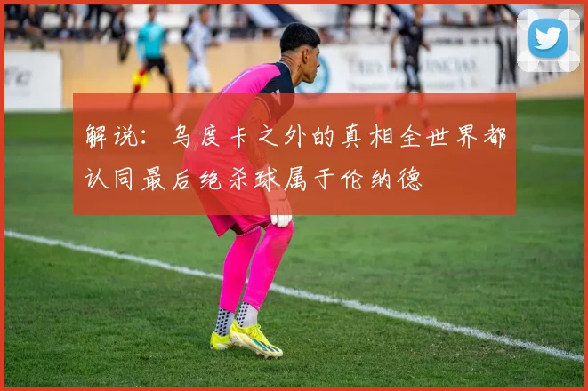 解说：乌度卡之外的真相全世界都认同最后绝杀球属于伦纳德
