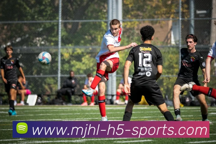 麻将胡了平台生态图